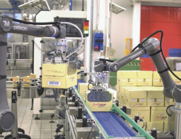 Labour crisis: cobots can lend a helping hand
