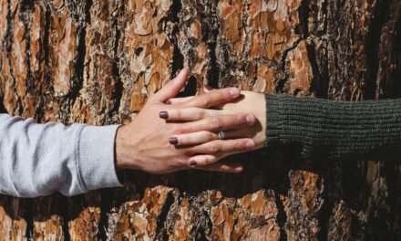 48% UK and Irish Industrial businesses want to be Net Zero in next 3 to 5 years