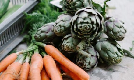 EU market hotting up for UK food and drink exports in 2022 after Brexit hit