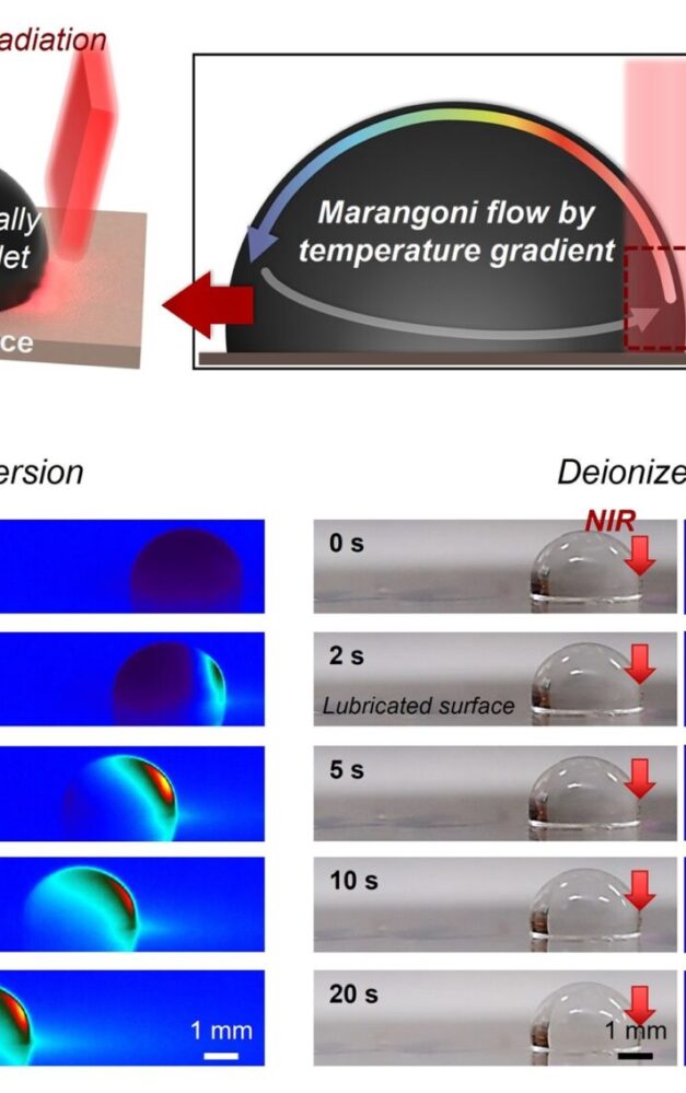 Chung-Ang University researchers pioneer new way to manipulate microdroplets