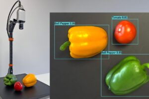 PIC ids nxt detecting vegetables ai roi real life 2