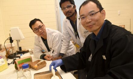 Fast-food rubbish solution in sustainable seaweed-based wrapper