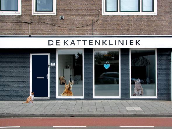 Nokia and KPN successfully trial 25G PON in Rotterdam animal hospital