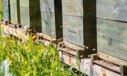 Leuze is CO2 neutral in Germany