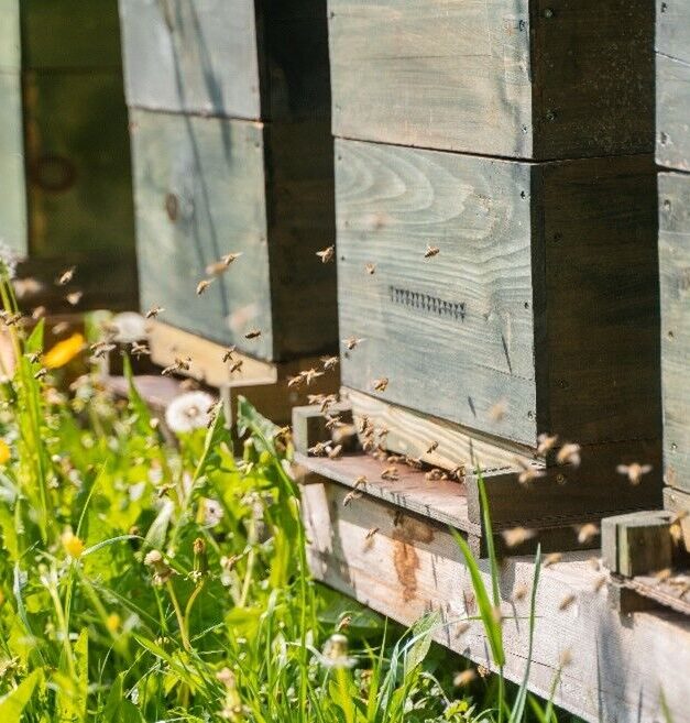 Leuze is CO2 neutral in Germany