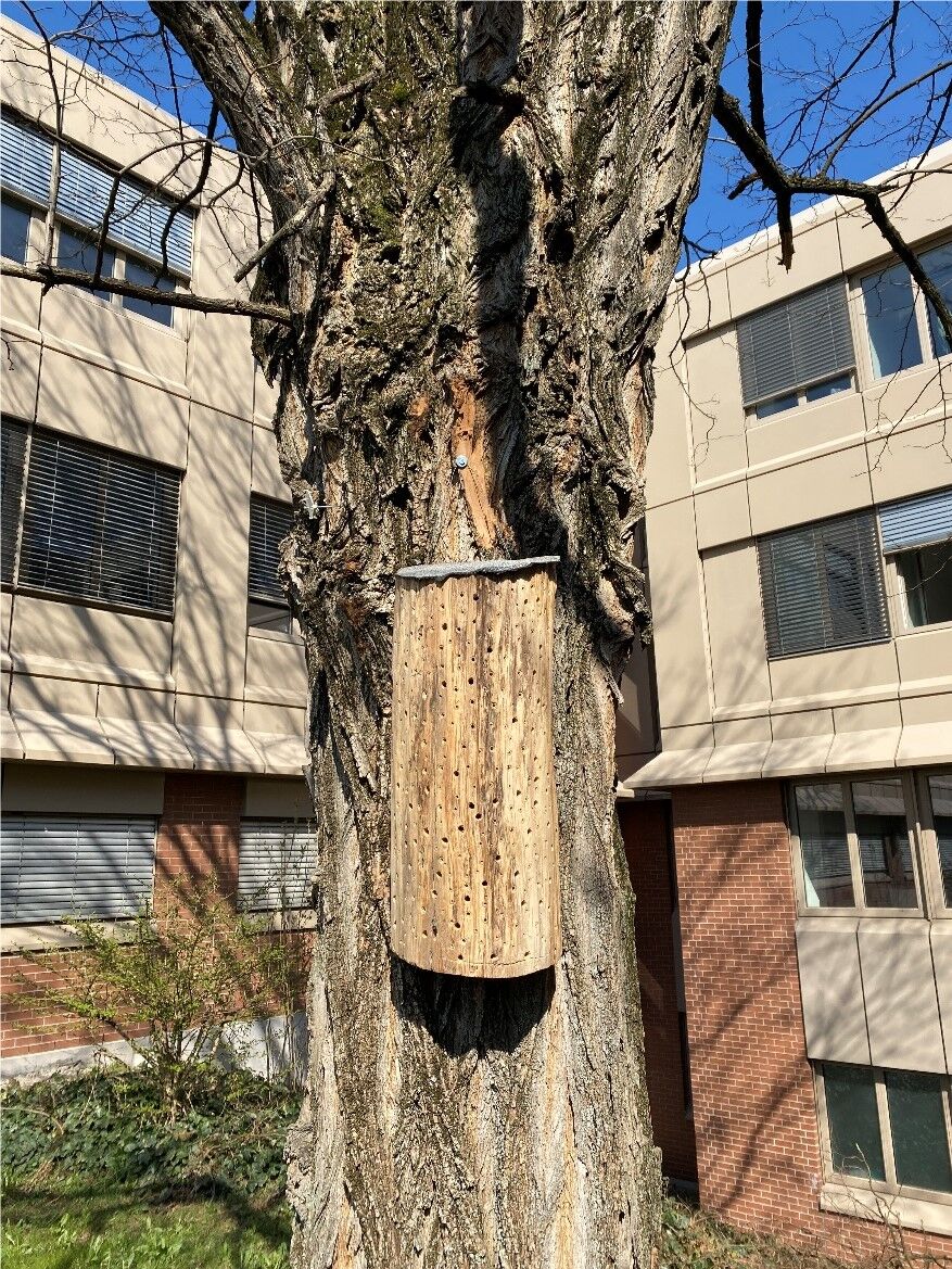 Leuze UK sustainability bees