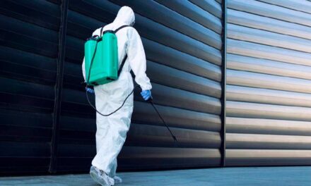 Infor customer MP Hygiene Industrie transforms its supply chain