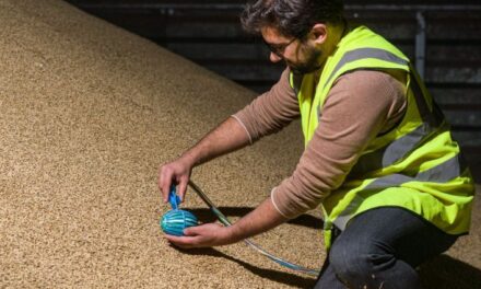 Grain-surfing robot is set to revolutionise crop management