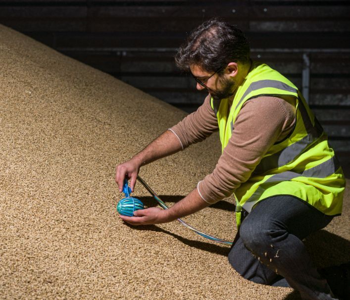 Grain-surfing robot is set to revolutionise crop management