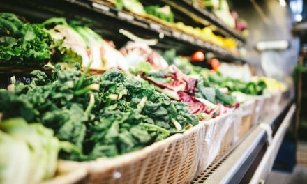 Fresh Produce Consortium CEO blasts UK government for poor handling of border strategy