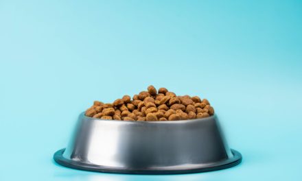 Better quality control in dried pet food