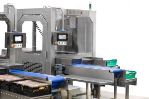 AH Brillopak 1019 Edit