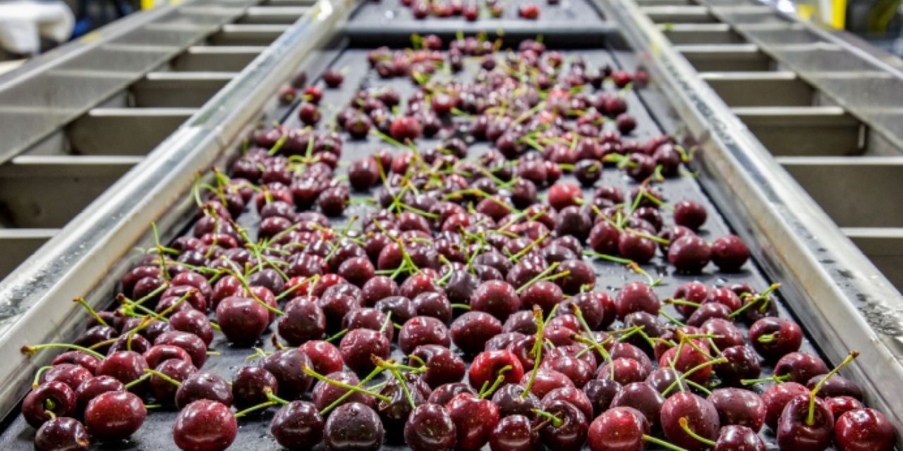 Improve Free-Fall Food Sorting with Prism-Based Line Scan Camera