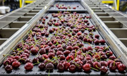 Improve Free-Fall Food Sorting with Prism-Based Line Scan Camera