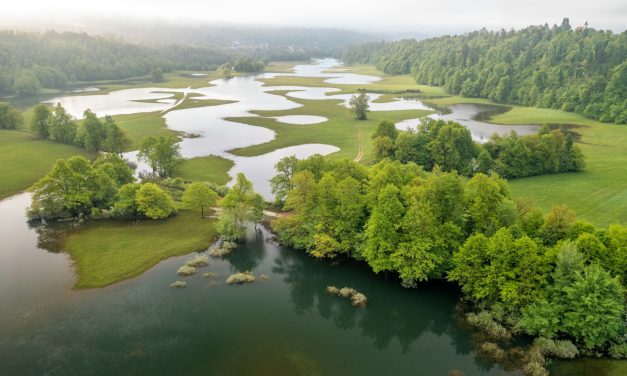 Extreme weather disruption: Why crisis planning must include the warehouse floor