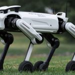 Astrall Dynamics showcases Dual Model Quadrupeds at IFA 2026: Moving beyond spec chasing toward real world industrial deployment