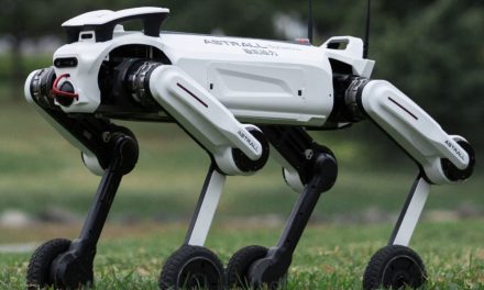Astrall Dynamics showcases Dual Model Quadrupeds at IFA 2026: Moving beyond spec chasing toward real world industrial deployment