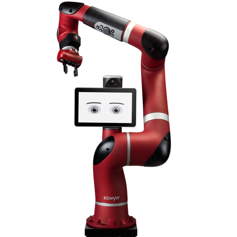 sawyer blank background