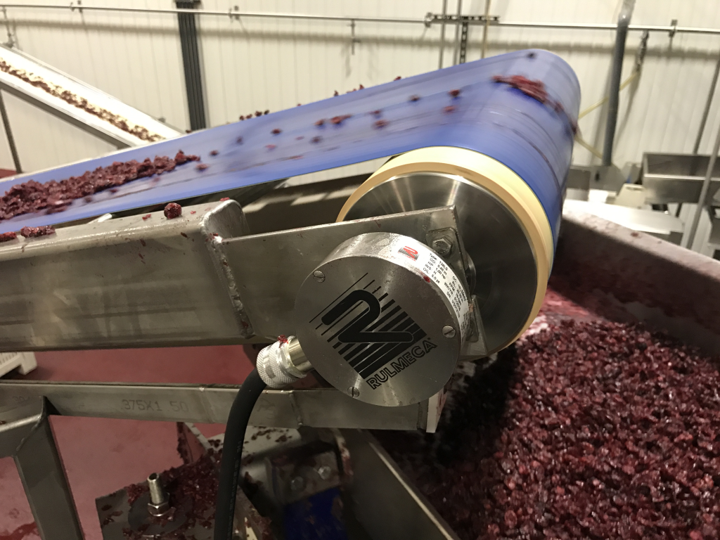 rulmeca motorized pulleys cranberry processing2