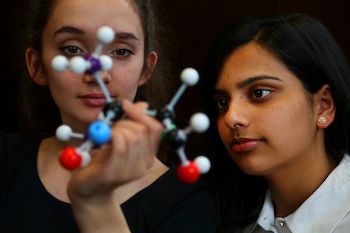 28247976646 feecaff36f o.350x0 is