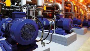 157619272 490x280.300x0 is